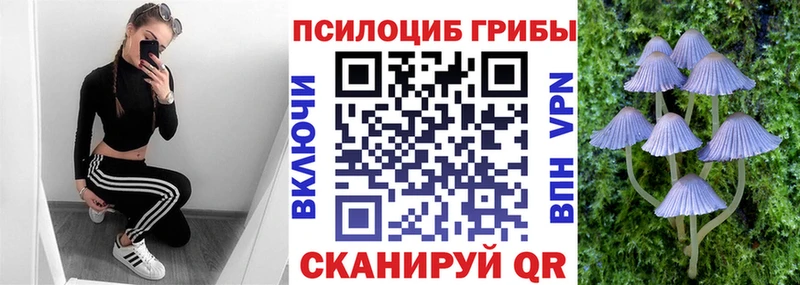 Псилоцибиновые грибы MAGIC MUSHROOMS  Инсар 